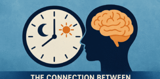 Connection Between Circadian Rhythm and Mental Health Connection Between Circadian Rhythm and Mental Health