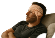 9 Brain Changes Explained: The Science of Napping 9 Brain Changes Explained: The Science of Napping