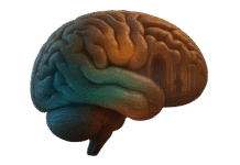 The Science of Visualization: Effects on the Brain — 9 Neuroscience-Backed Effects The Science of Visualization: Effects on the Brain — 9 Neuroscience-Backed Effects