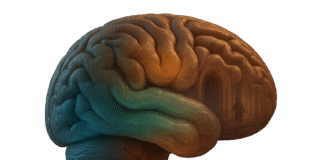 The Science of Visualization: Effects on the Brain — 9 Neuroscience-Backed Effects The Science of Visualization: Effects on the Brain — 9 Neuroscience-Backed Effects