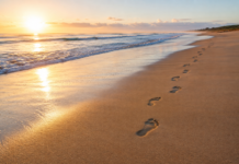 Beach and Sand Training: Benefits and Injury Risks Beach and Sand Training Benefits and Injury Risks