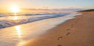 Beach and Sand Training: Benefits and Injury Risks Beach and Sand Training Benefits and Injury Risks
